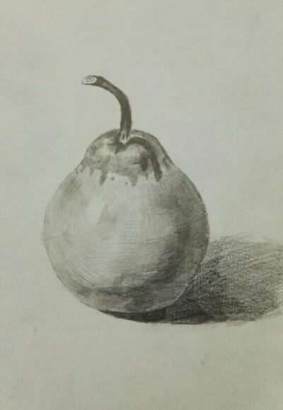 梨素描