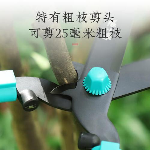 张小泉园艺大剪刀强力修剪树枝果树剪刀剪草修花草坪绿篱剪工具