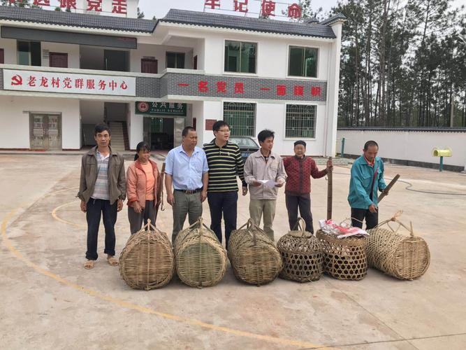 坪田镇:产业扶贫出成效 乌鸡变成金凤凰-南雄市人民