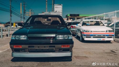 三一世界nissan日产日产skyliner31照片来自fb