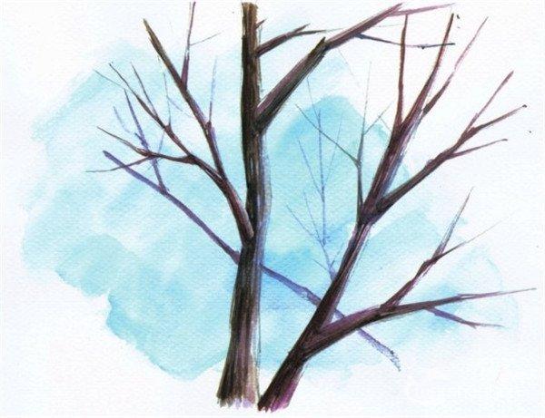 水彩枯树树干技巧