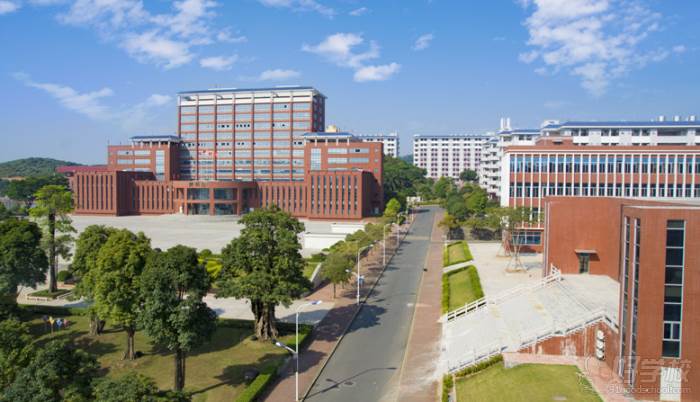 广东创新科技职业学院成人高考招生简章