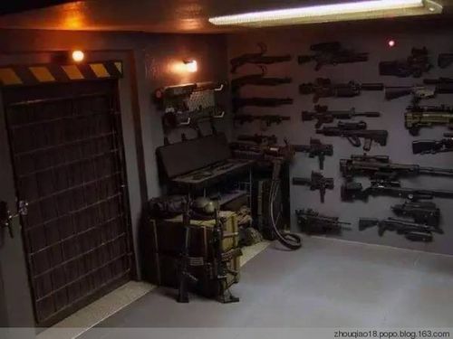 进了兵器库后,算开了眼