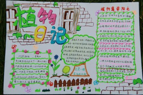 关于植物和环境的科学手抄报 环境的手抄报