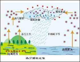 水的三态变化手抄报