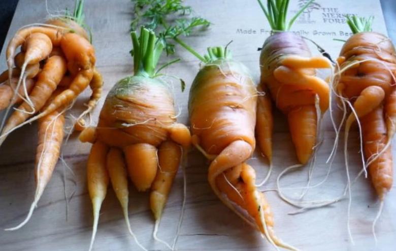 核辐射有多么恐怖日本核辐射后的蔬菜水果让人瑟瑟发抖