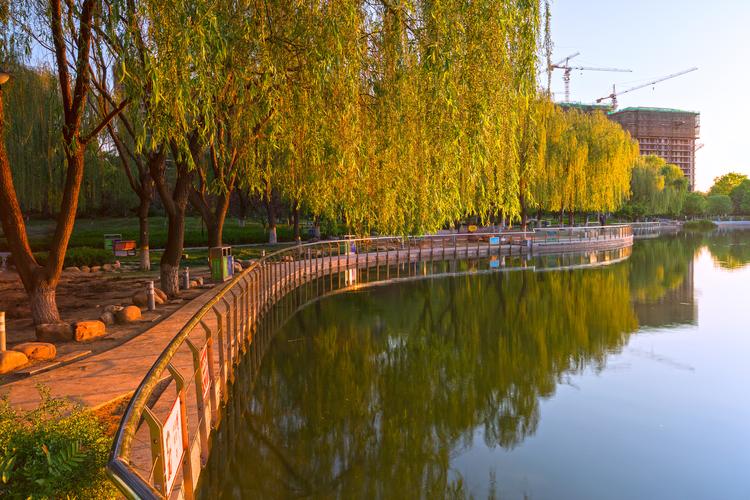 石家庄东环公园一个植被漂亮值得前往的公园!去过吗?