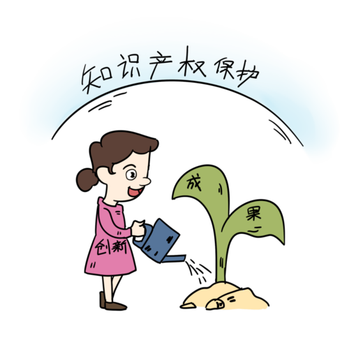 厦门知识产权法庭一周年司法护航为创新创业创造汇聚智慧之能