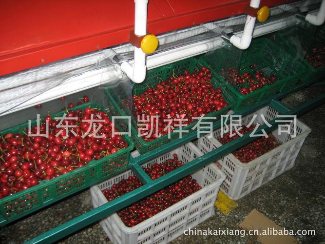 凯祥樱桃圣女果蒜瓣山楂选果机, 分级机,分选线