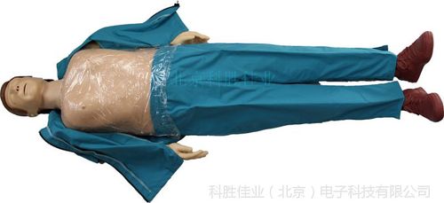 cpr呼吸假人半身心肺复苏模拟人心脏复苏 急救训练模型 教学模型