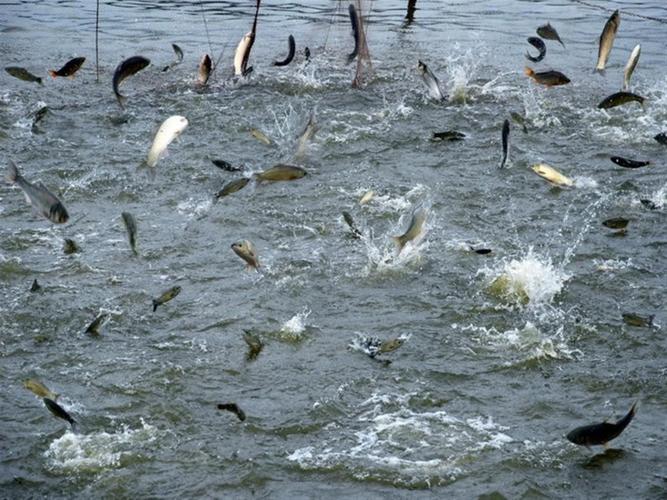 常州市建方水产养殖专业合作社