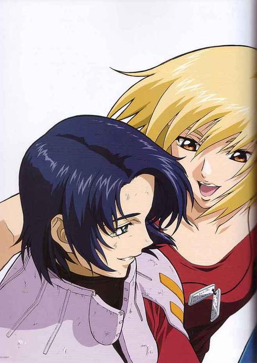 动漫 高达seed官方设定集gundam seed