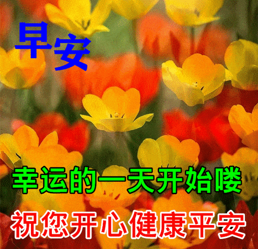 10月16日最漂亮早上好动态表情图片大全,秋天早安问候