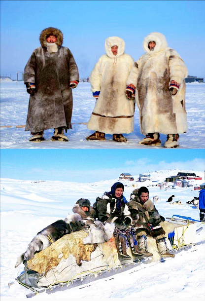 因纽特人问马赛人:我也每天都吃肉,为什么你那么高?