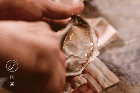 白酒配生蚝,缠绵如数万次的浪漫深吻.