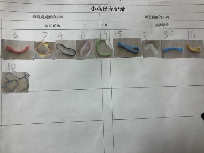 终于等到你——葛村新苑幼儿园小鸡孵化记