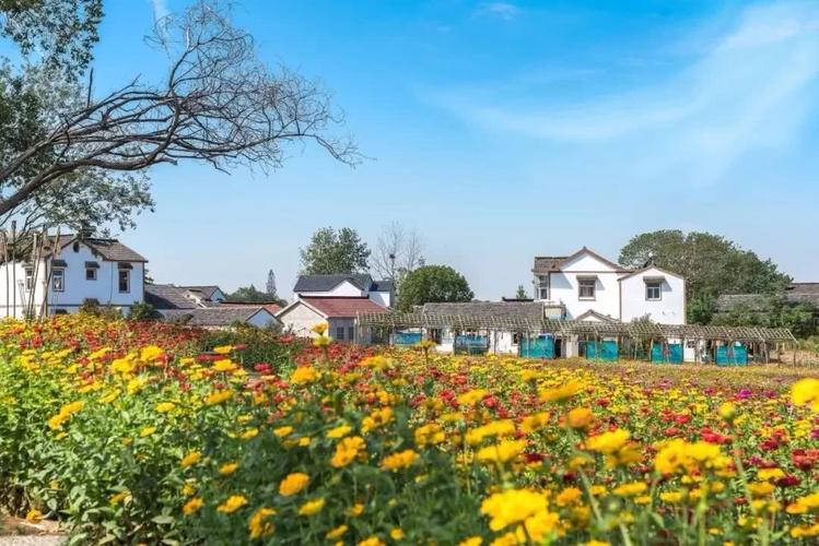 在季节变迁中赏尽江宁风景