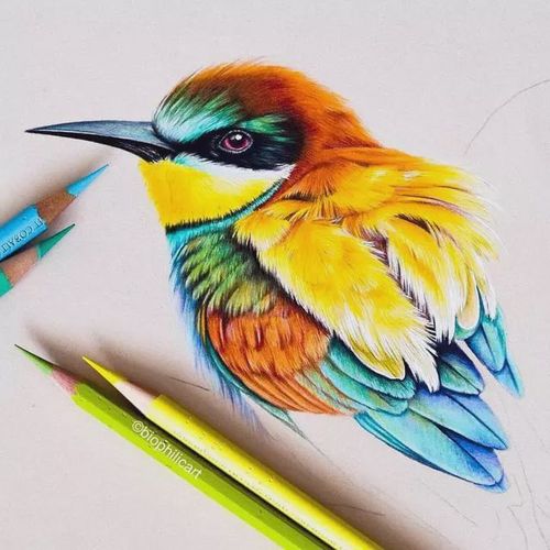 精湛的彩铅花鸟手绘 ,彩铅艳丽写实引网友热议是笔还是纸的原因?