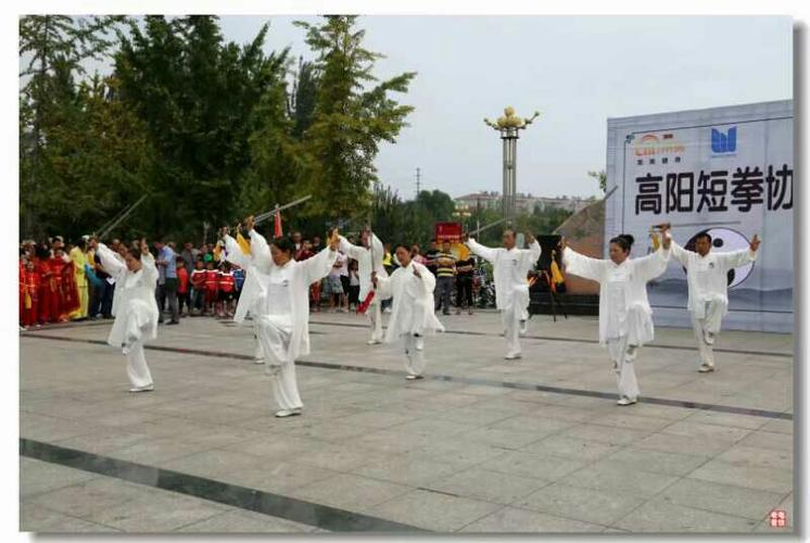 高阳县短拳协会成立仪式精彩抓拍