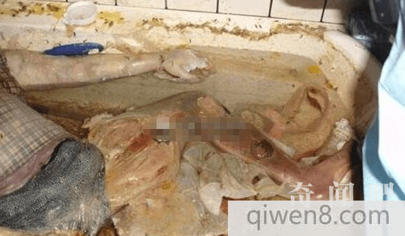 恐怖恶心!18岁少女自杀尸体高度腐烂成"巨人观"