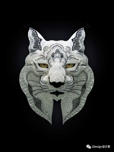 iberian lynx