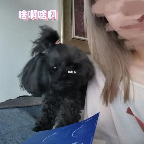 刚睡醒头发乱糟糟的馋猫猫_猫咪_狗狗_宠物_宠物其他