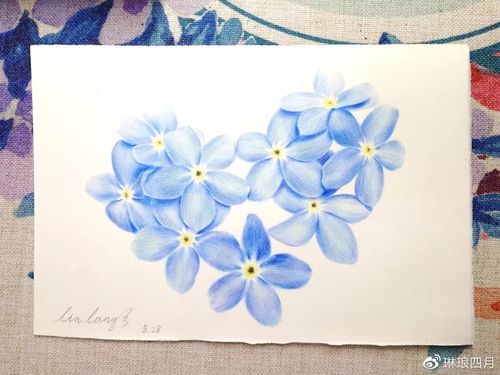 【手绘教程】彩铅之爱心勿忘我_花瓣