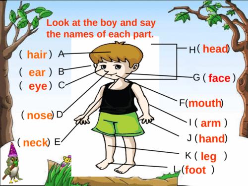 head and shoulder knees and toes eyes and ears and mouth and