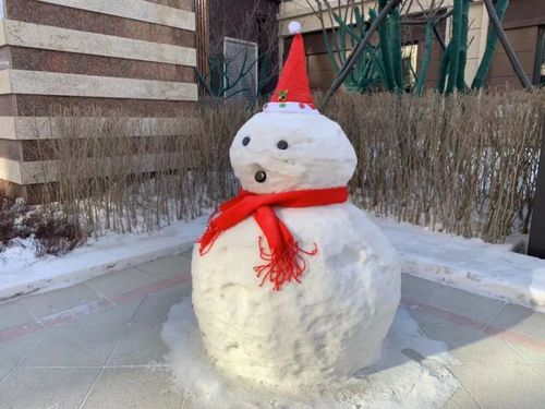 不仅如此, 园区内还有用雪堆成的小造型.