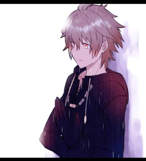 天草四郎愿望反人类,客观看齐格