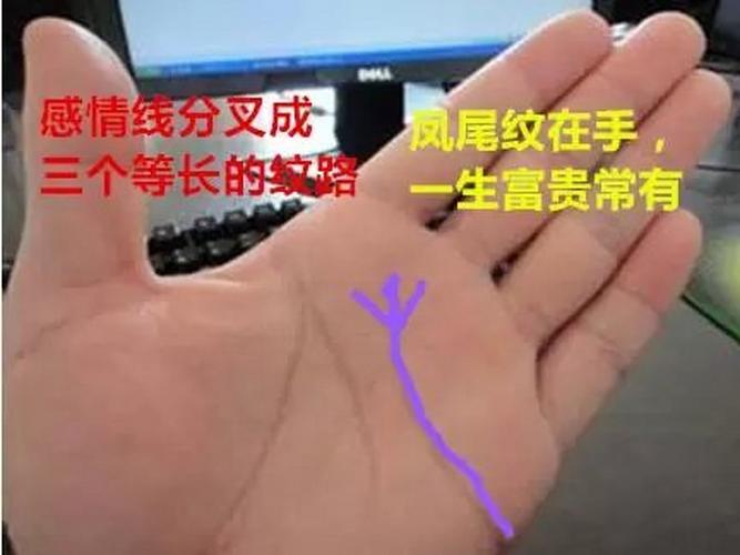 在手相感情线的末端,有三条分支,称之为凤尾纹.