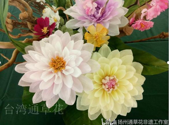 传统手工艺非遗通草花