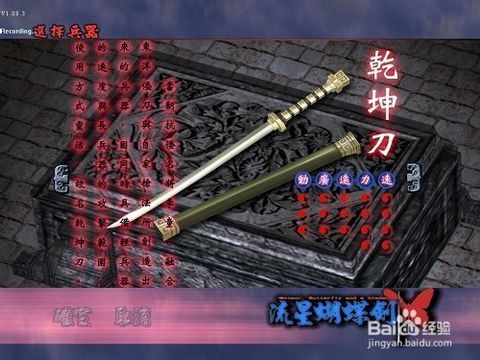 流星蝴蝶剑武器秘籍