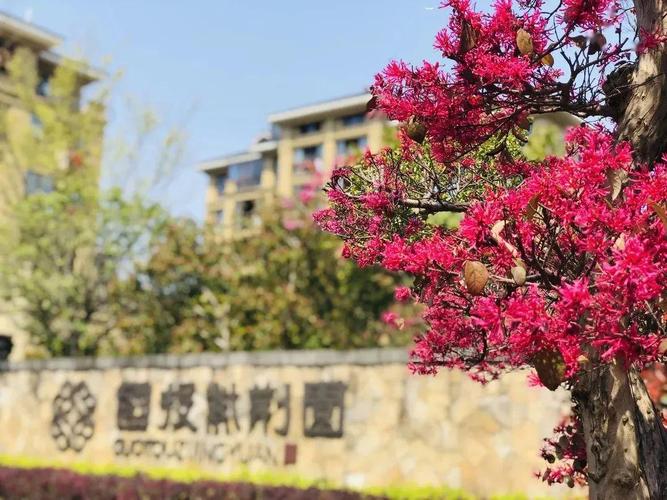 盼念2年,国投紫荆园收官在即,把握最后3幢居家养老机会