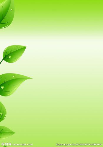 浅绿背景图片