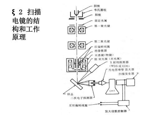 扫描电镜的结构原理ppt