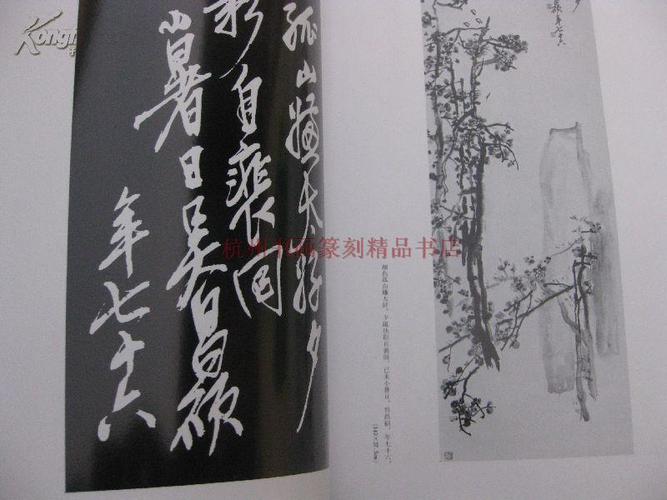 珍贵书画集/【画册】吴昌硕画集///青山杉雨/二玄社/吴昌硕的画与赞