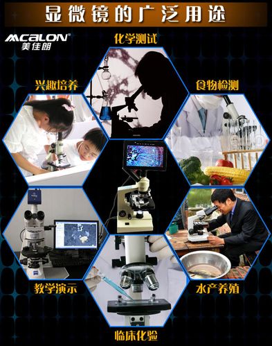 美佳朗(mcalon) 显微镜配件50片生物标本 切片 中学生观测标本