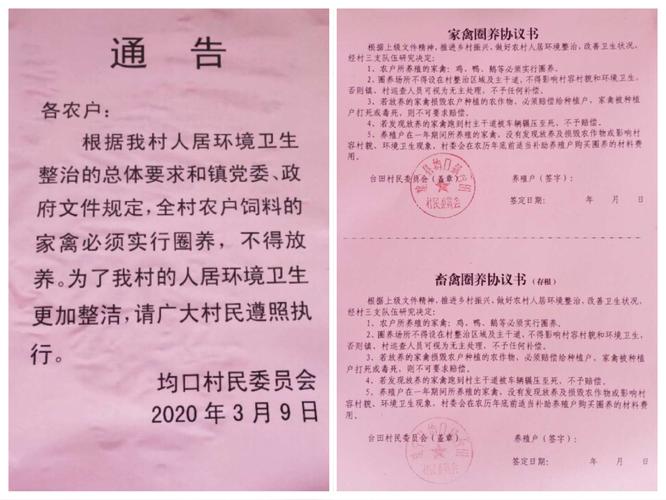 发布通告和告知书