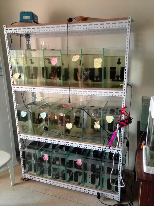 鱼缸货架组缸架子多层鱼缸架子家用组装金属货架置物架四层组合