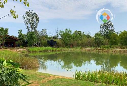 重庆广阳岛游玩攻略:一天逛完4大景点,美不胜收,拍照