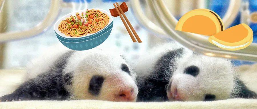 4月19日(明天)12:00, 2020年全球首对圈养大熊猫双胞胎"热干面""