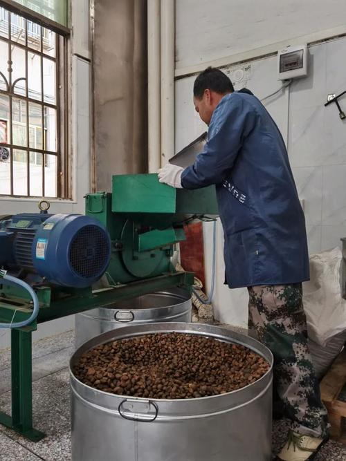 开售啦定南本土山茶油现榨现售就在定南中沙