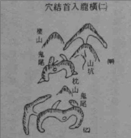 五大入首龙穴位图2