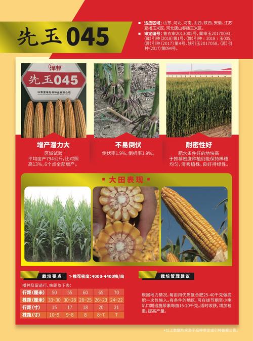 大棒 高抗 耐密 粮饲兼用〕先玉045