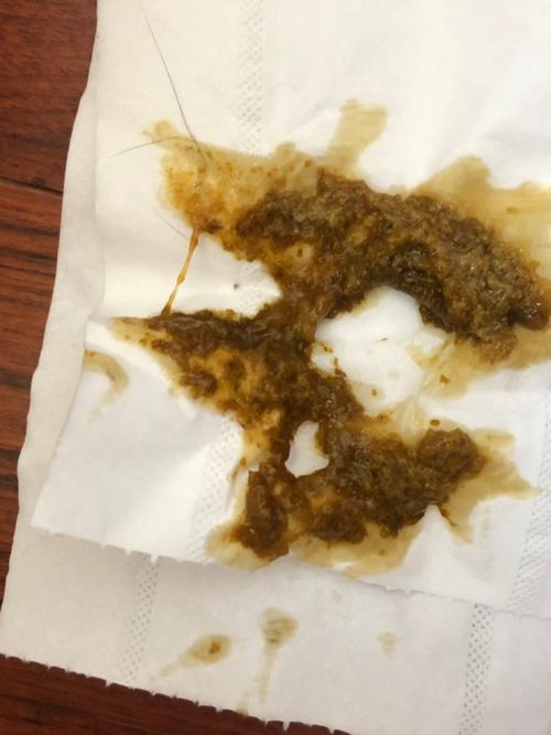 小奶狗拉肚子_拉肚子_益生菌_宠物_狗