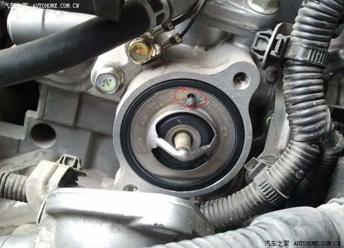 节温器红线的孔在装回的时候是要在上面的.