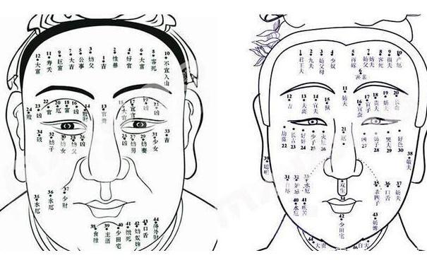 左眉上方有痣代表什么(男人左眉毛有痣图解)