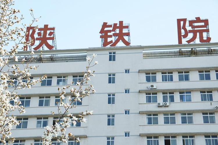 【春天里的陕西】陕西铁路工程职业技术学院:春景无分大小,都让我们