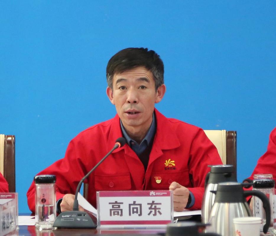 【延长油田原定边采油厂厂长高向东被免,曾向沈浩行贿5万美金】#吃瓜